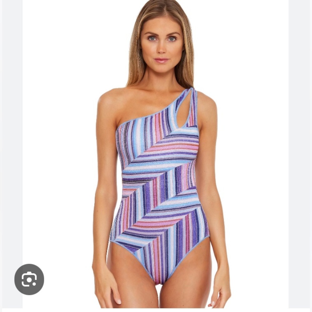 Becca south coast Metallic striped swimsuit